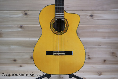 Takamine ec132c nylon - nylon, string